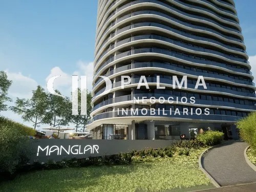 Manglar Brava